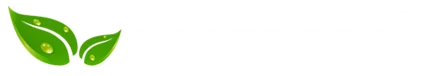 WhiteFog